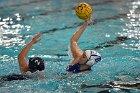 WWPolo @ CC  Wheaton College Women’s Water Polo at Connecticut College. - Photo By: KEITH NORDSTROM : Wheaton, water polo